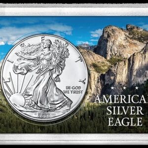 American Silver Eagle Coin Case with Mountains Forest & Blue Sky / ASE Holder